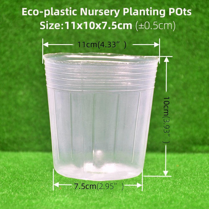 Lisslune | 100-piece clear plant growth cups: Successfully boost your garden