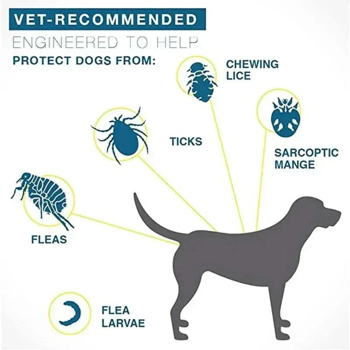 Lisslune | FLASHIELD COLLAR – Herbal flea & tick protection collar for dogs & cats
