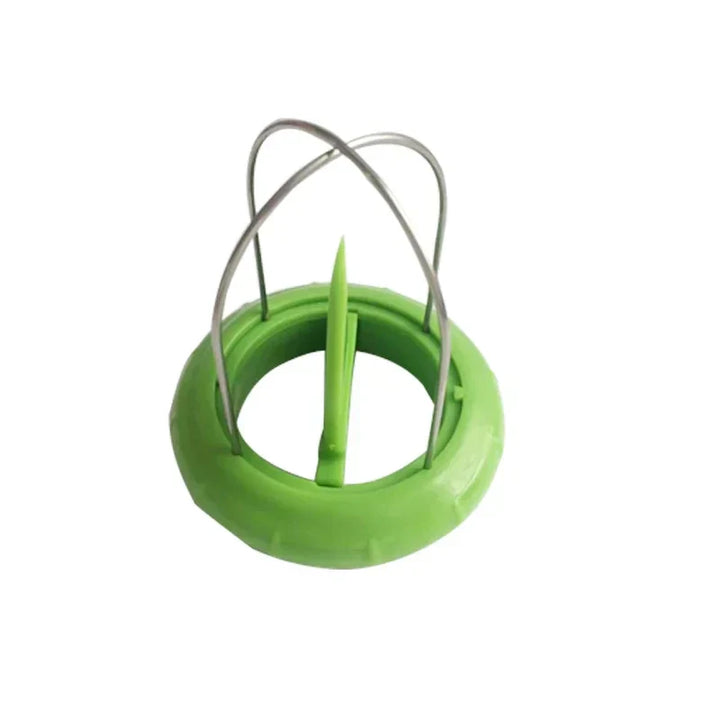 Lisslune | Fruit Lover Kiwi Cutter