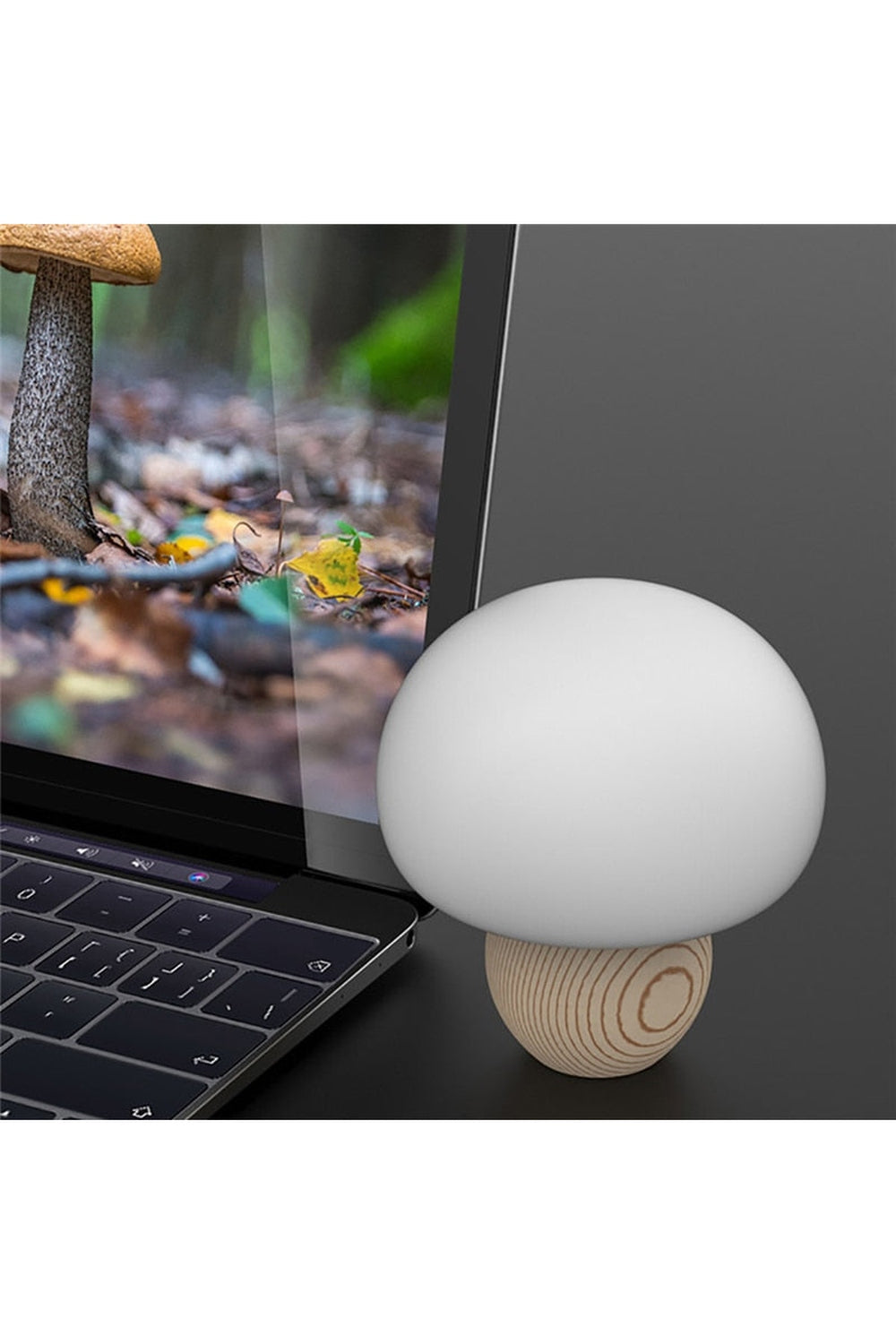 Lisslune | Soft LED bedside lamp