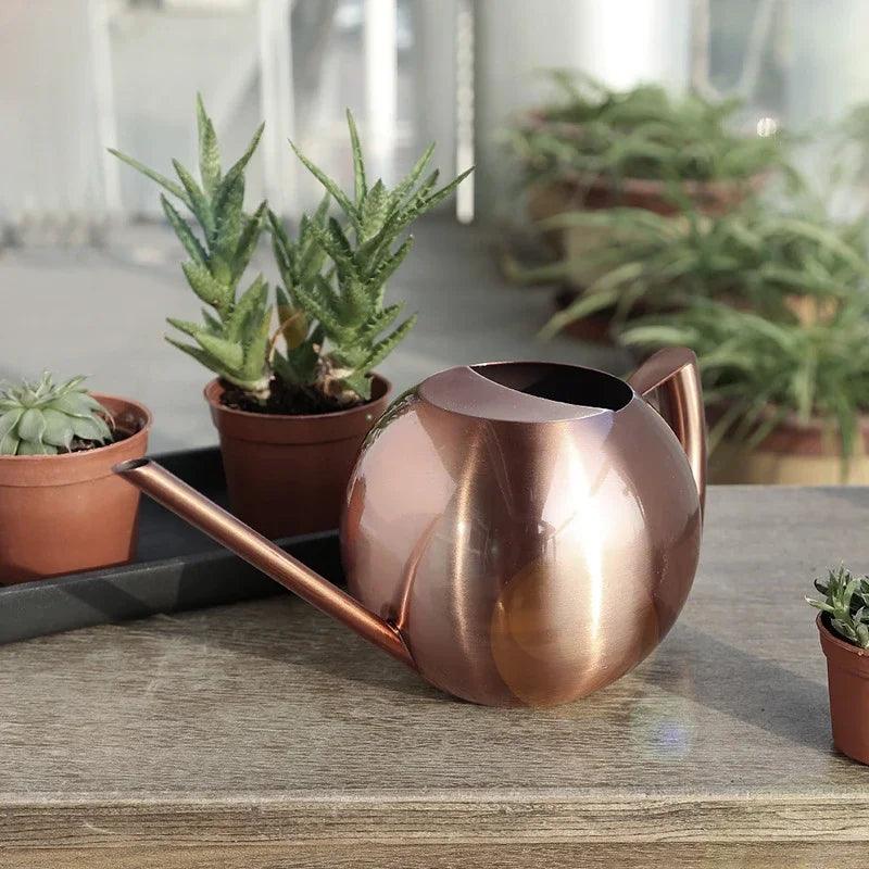 Lisslune | Stylish Stainless Steel Watering Can with Extended Spout - Perfect for Plant Care