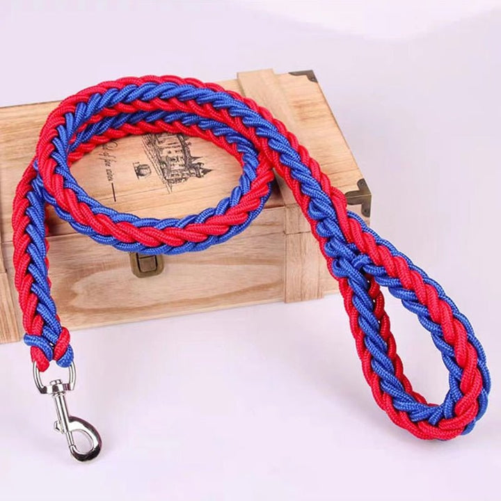 Lisslune | Braided short dog leash for large dogs