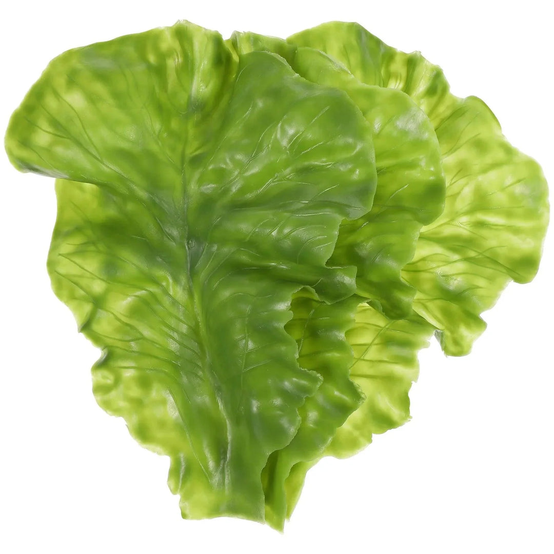 Lisslune | Set of 3 realistic artificial lettuce leaf decorations for culinary and educational purposes
