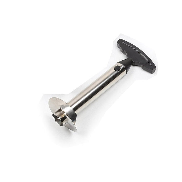 Lisslune | Stainless Steel Pineapple Cutter Pineapple Peeler Spiral Cutter