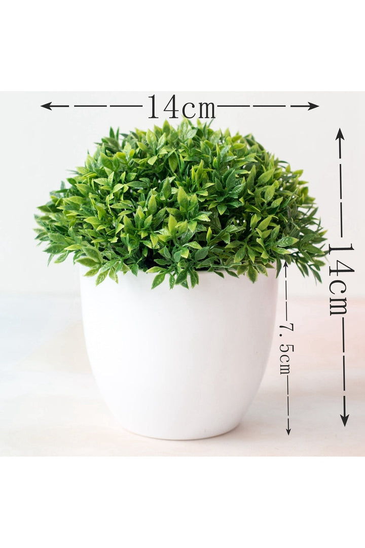 Lisslune | Bonsai Artificial Plant