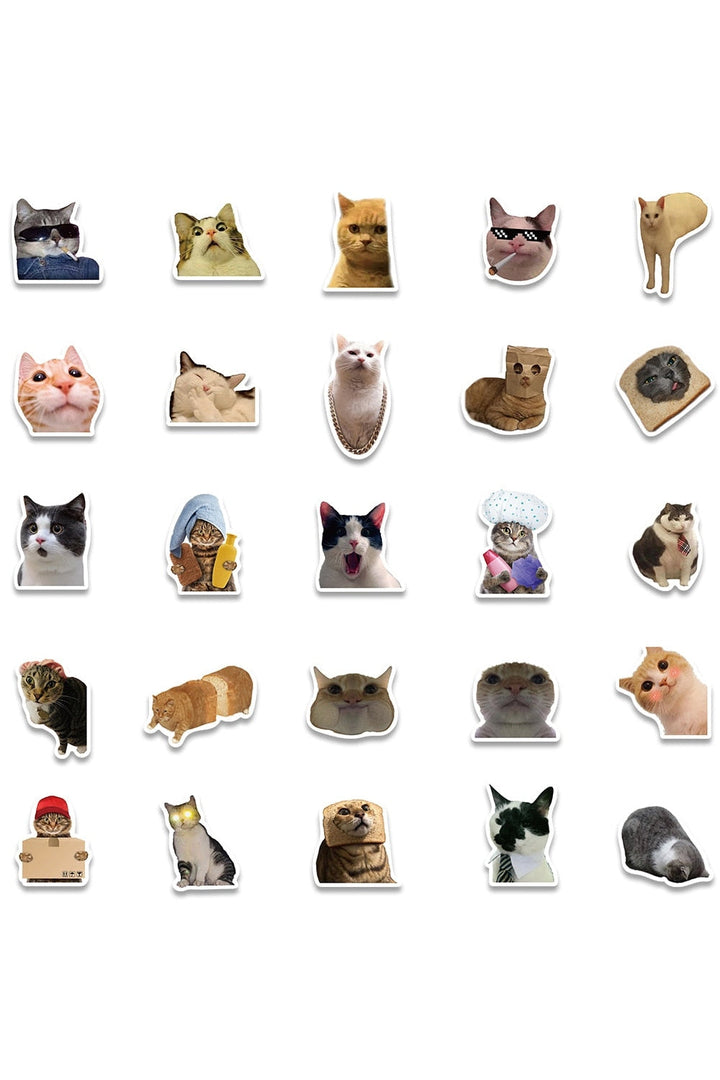 Lisslune | Cat Meme Funny Stickers 10/30/50/100 Pieces