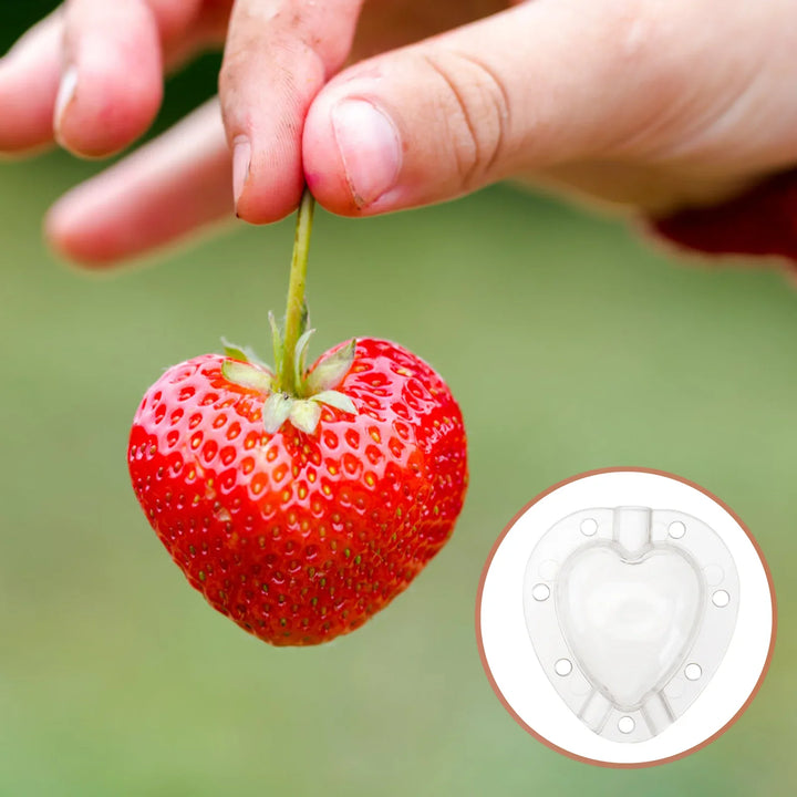 Lisslune | Heart Shaped Vegetable Cutter – Creative Mold Bowl for Vegetables and Fruits