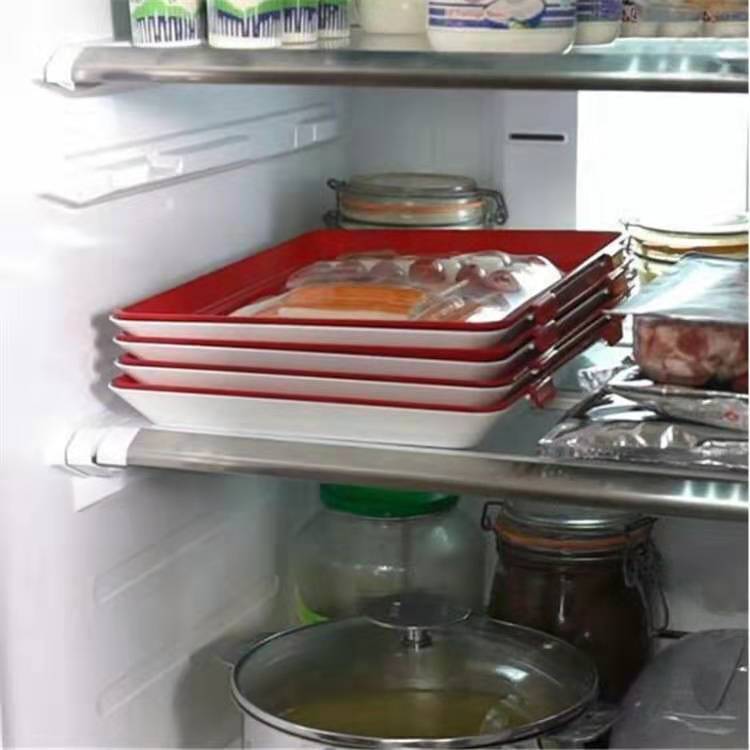 Lisslune | Creative Thin Food Storage Tray