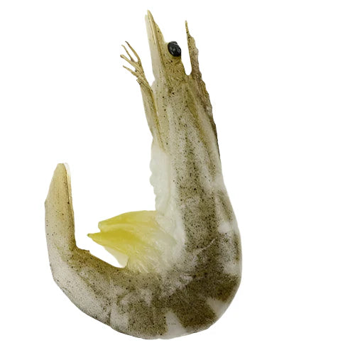 Lisslune | Realistic PVC Shrimp Sculpture for Home Decor and Creative Play