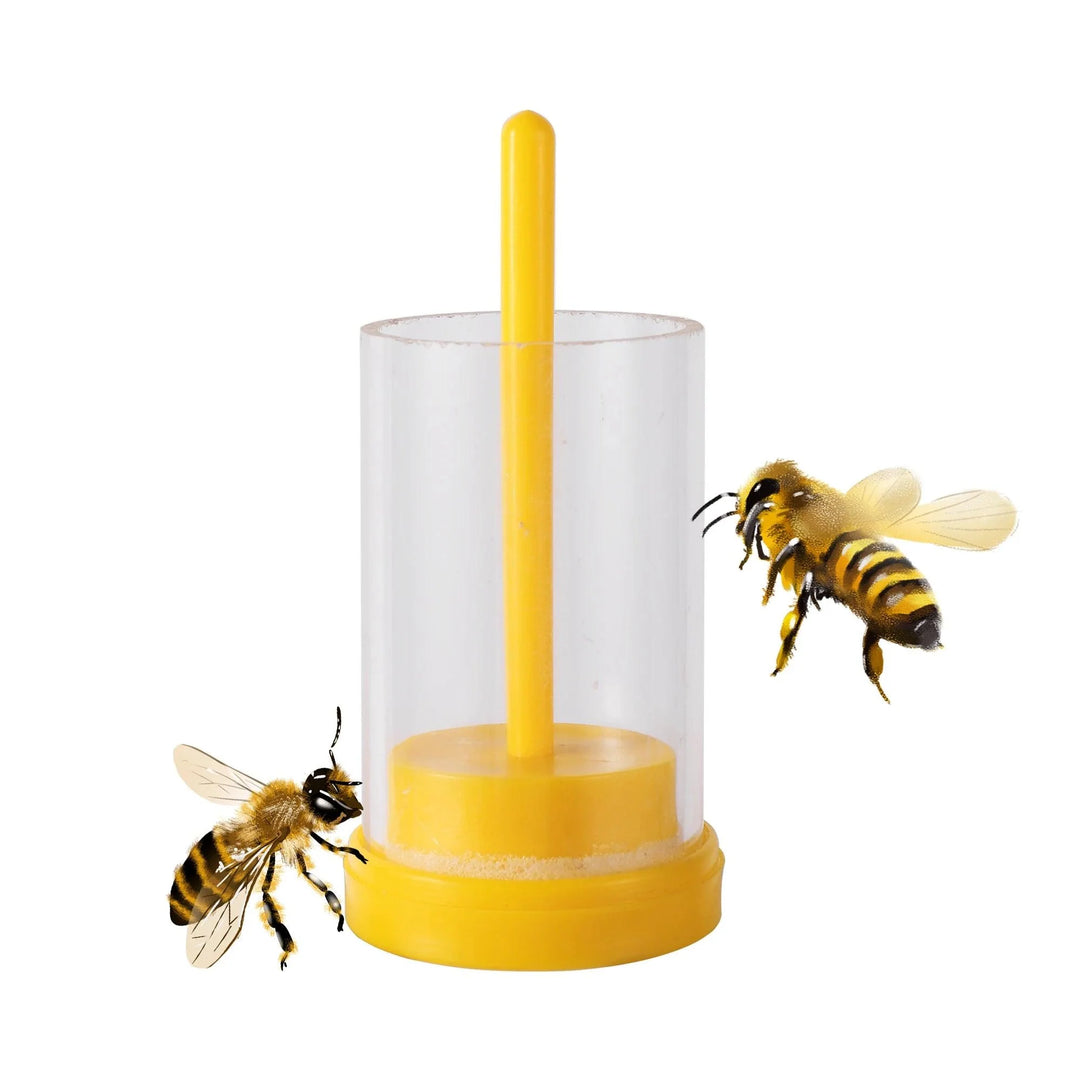 Lisslune | Beekeepers Essential Queen Bee Marker Kit for Easy Identification