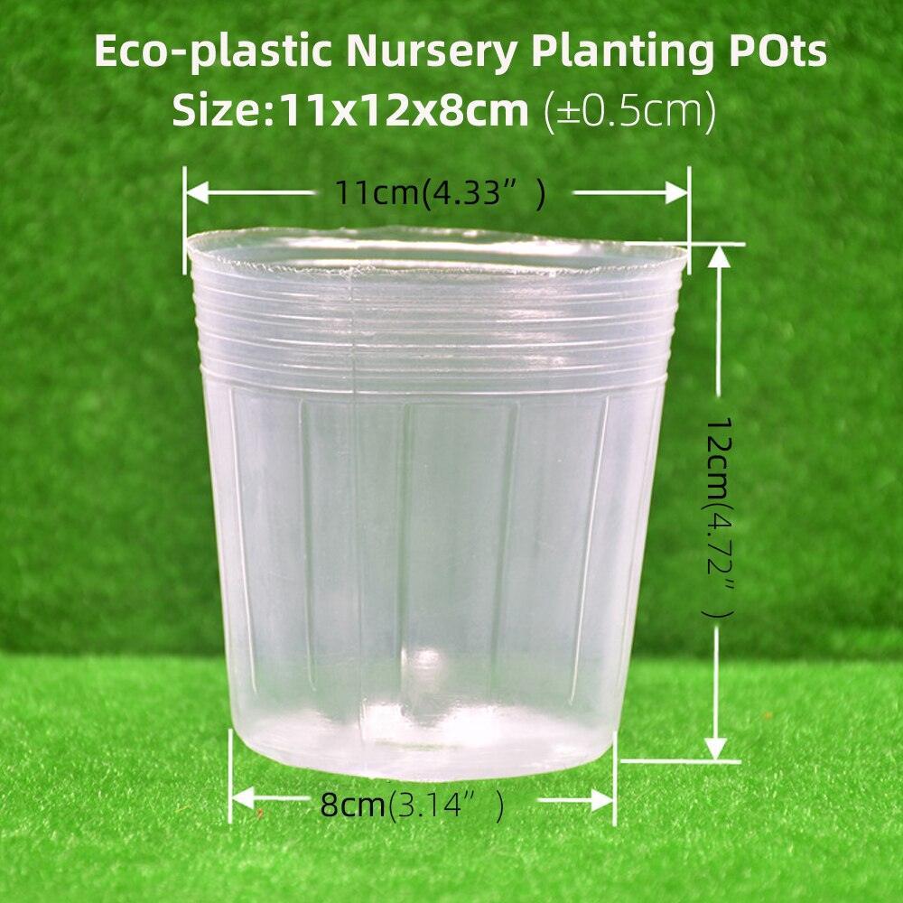 Lisslune | 100-piece clear plant growth cups: Successfully boost your garden
