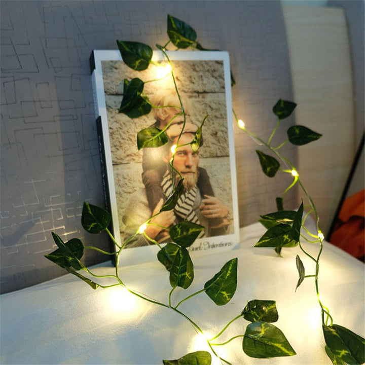Lisslune | Garden vine LED string lights