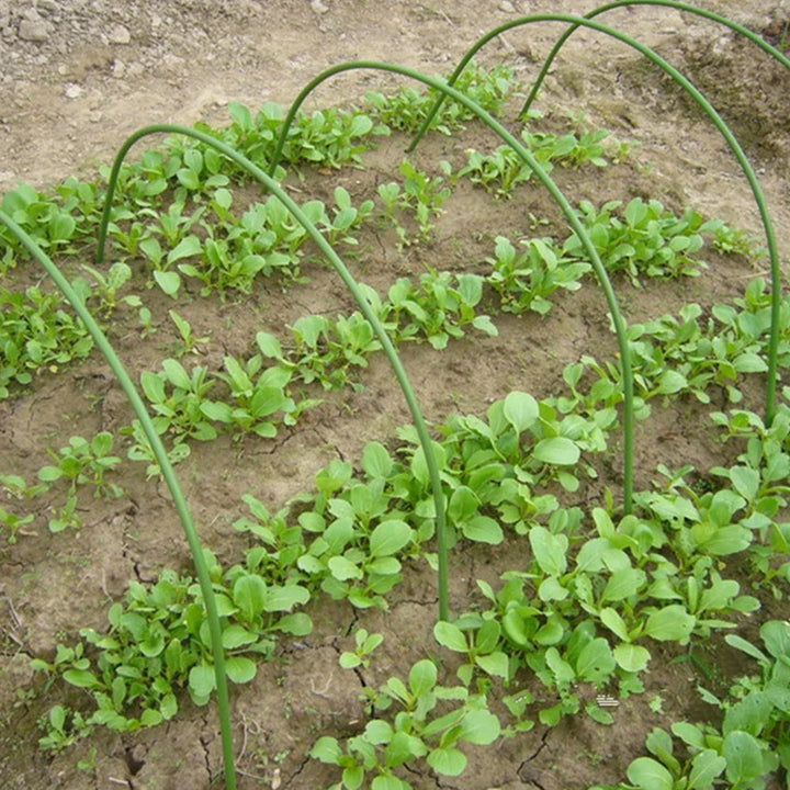 Rynx | Greenhouse Arch Plant Supports Grapevines Climbing Plastic Coated Steel Tube Arch Rack Vegetable Growth Garden Accessories