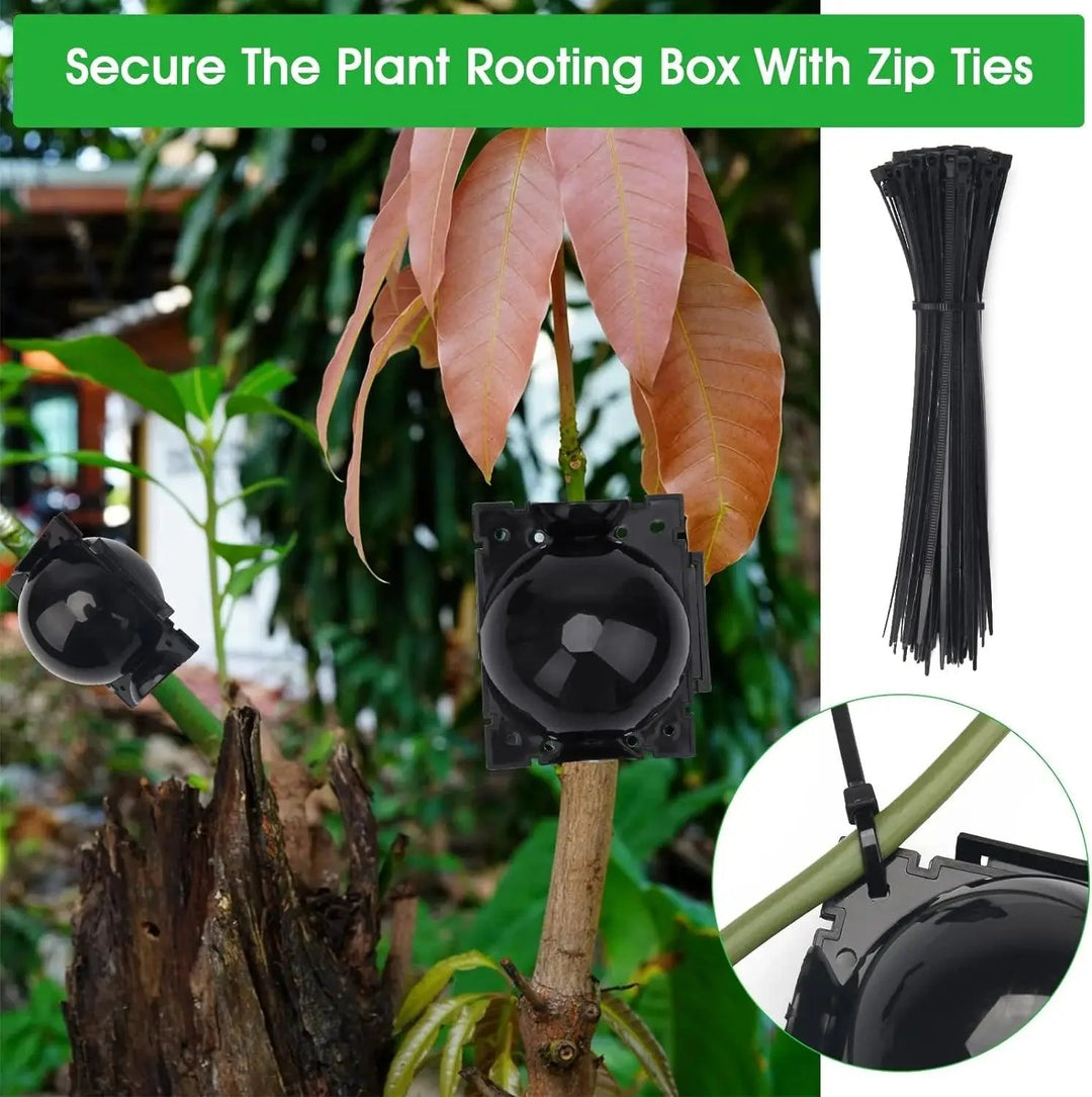 Lisslune | 10-Pack Reusable Plant Root Balls for Seamless Air Layering and Propagation