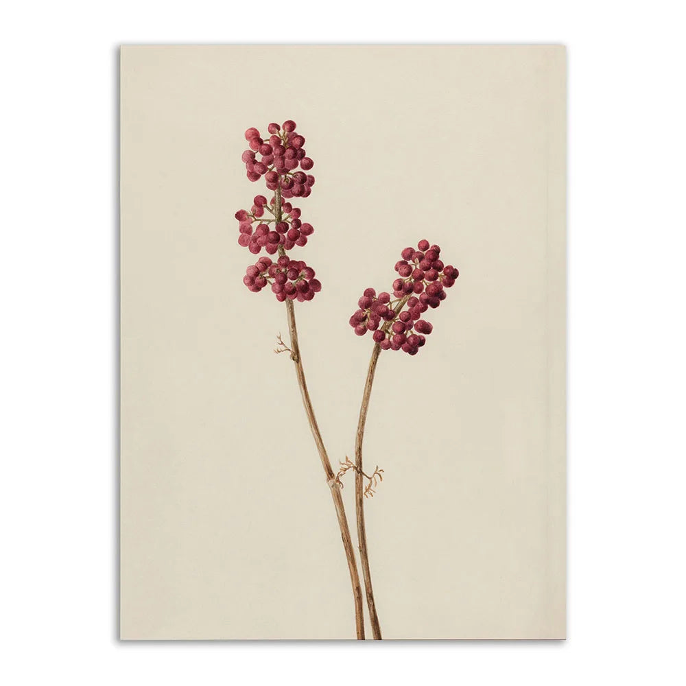 Lisslune | Farmhouse canvas poster