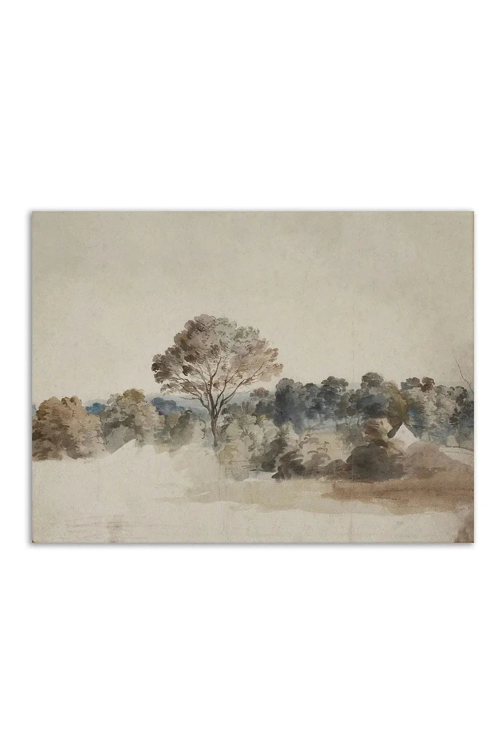Lisslune | Canvas art