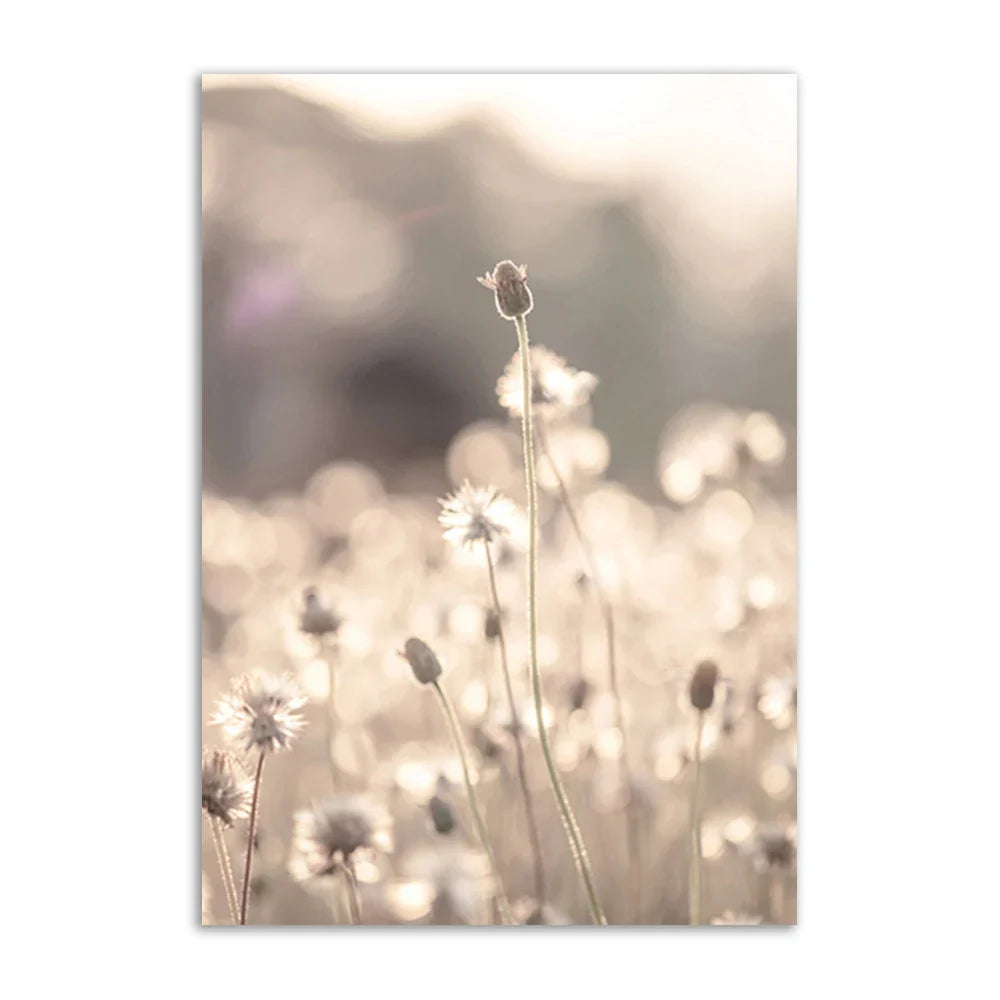 Lisslune | Academia Reed Canvas Poster