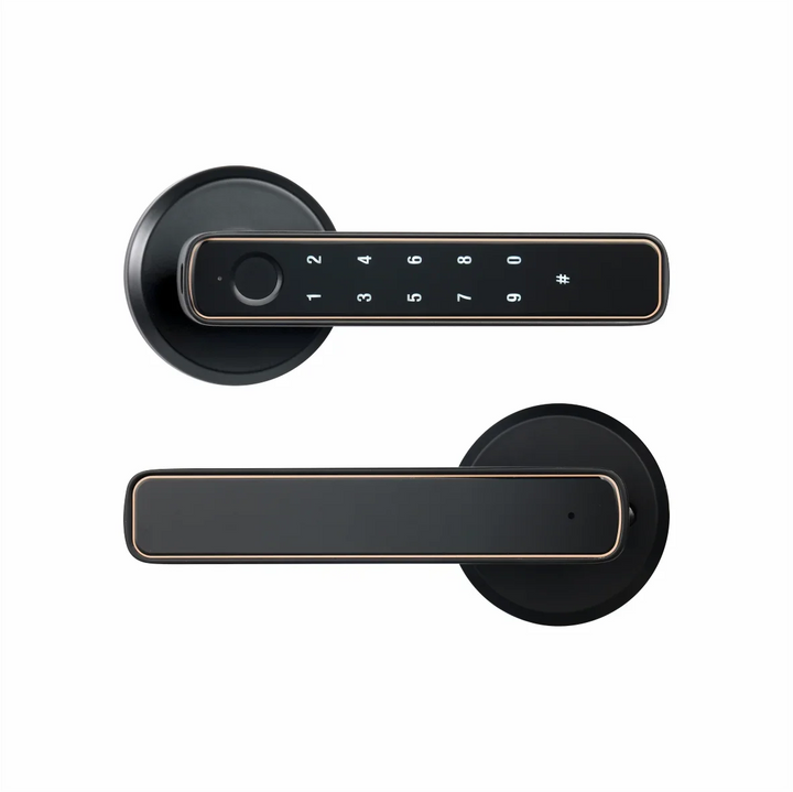 Lisslune | Intelligent Bluetooth door handle with fingerprint sensor and keypad