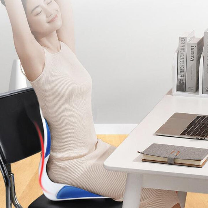 Lisslune | Back Support Chair Posture Corrector Cushion