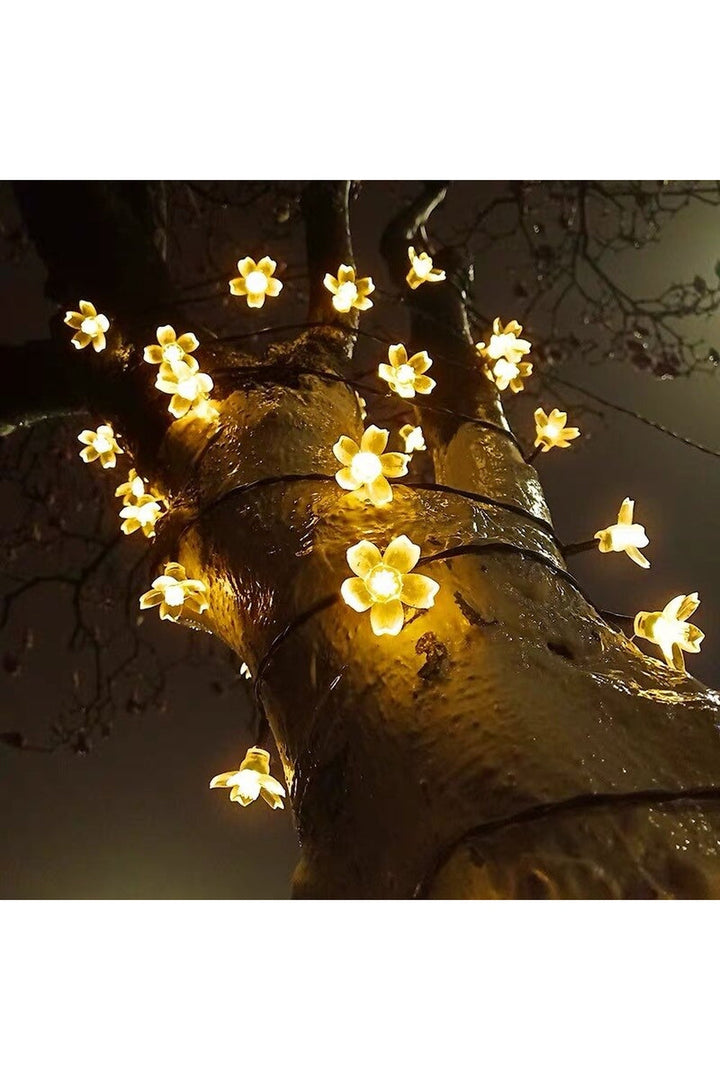 Lisslune | Solar Blossom String Lights