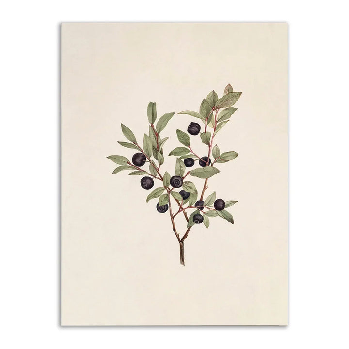 Lisslune | Farmhouse canvas poster