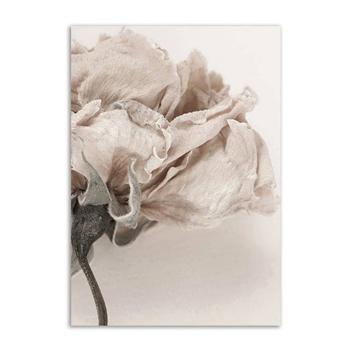 Lisslune | Mosque Canvas Poster