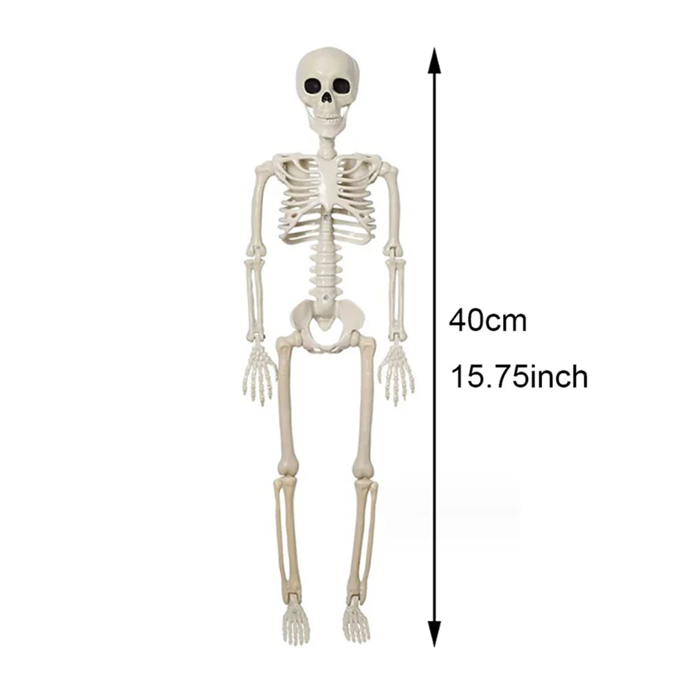 Rynx | 40cm Halloween Human Form Skeleton, Poseable Skeleton, Human Form Bones, Halloween Horror Decorations, Haunted House Horror Props
