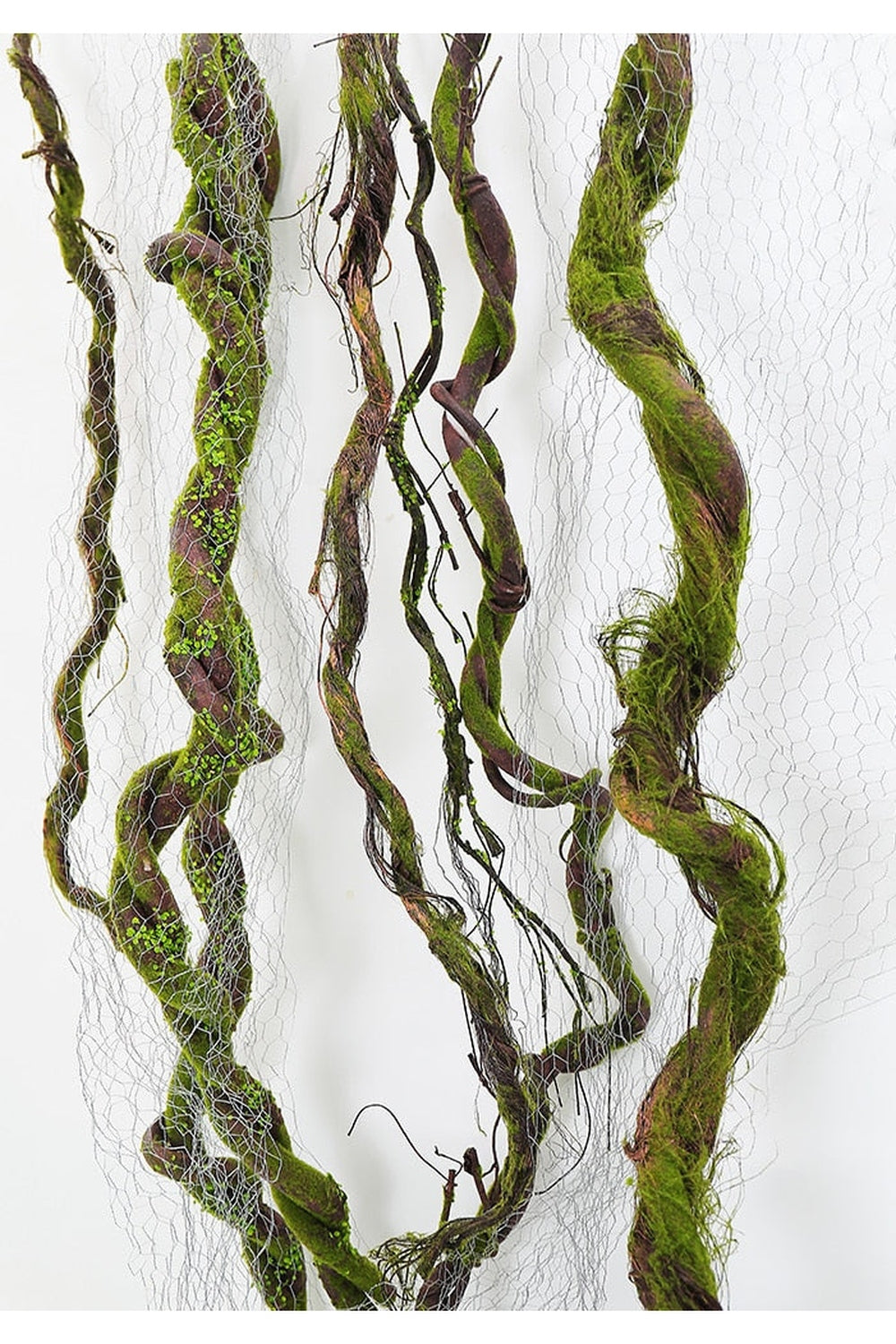 Lisslune | Branch Vine Grapes Decor