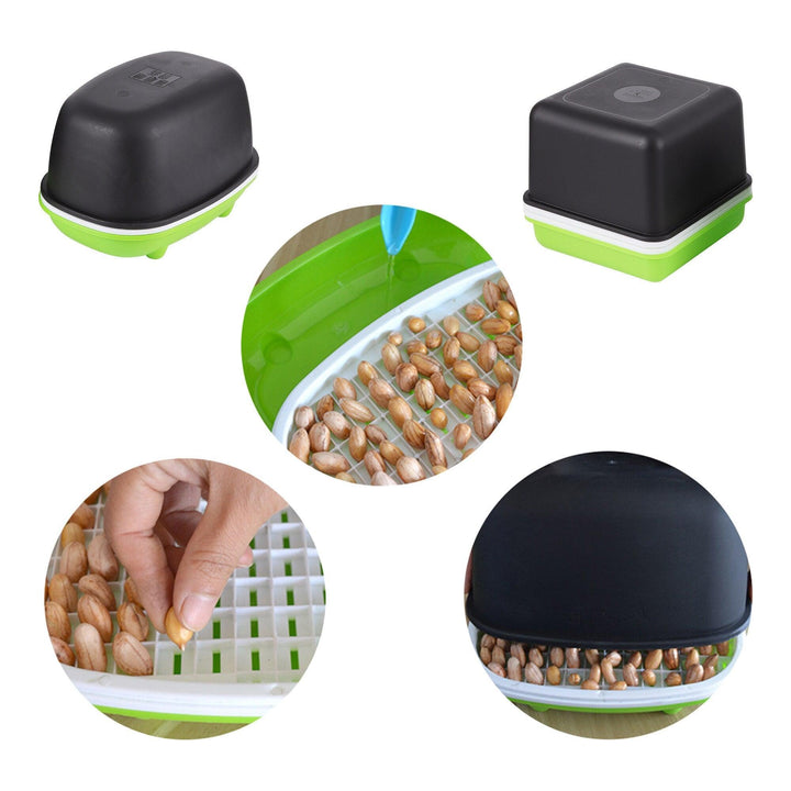 Lisslune | Effortless Fresh Products Sprout Kit for Home Nutrition
