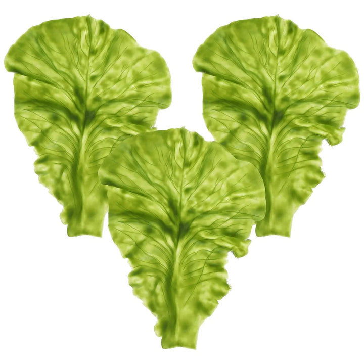 Lisslune | Set of 3 Life-like PVC Lettuce Leaf Models for Culinary Decoration and Photography