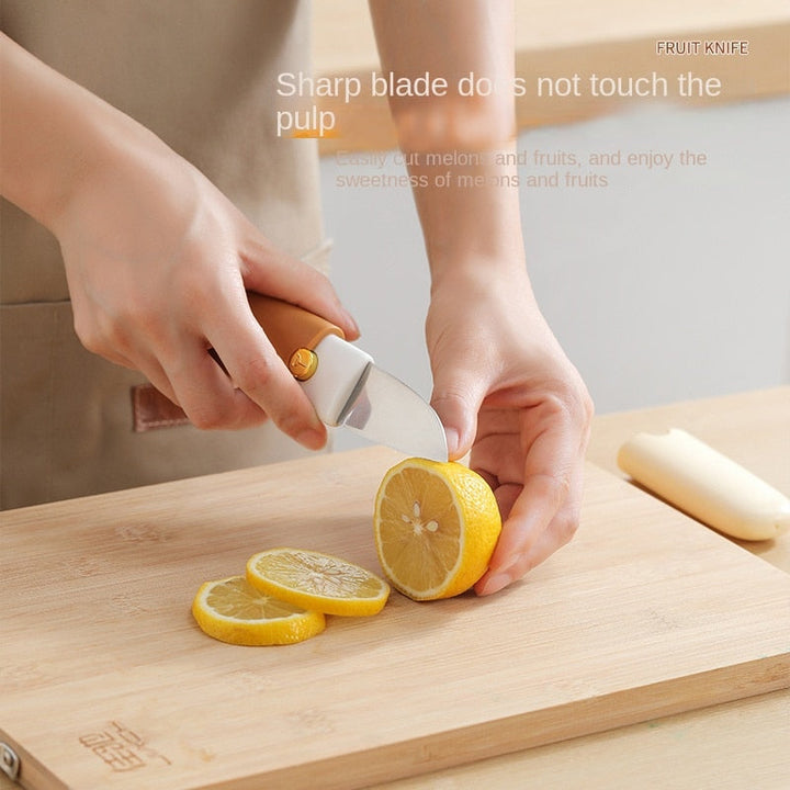 Lisslune | 2in1 Vegetable Peeler Home Chef Mini Knife