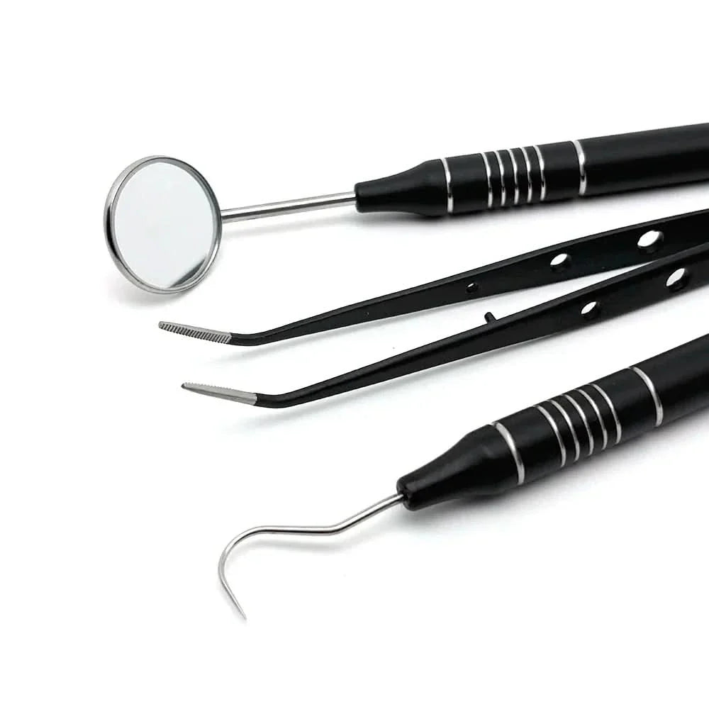Lisslune | Stainless Steel Teeth Cleaning Kit with Dental Tools