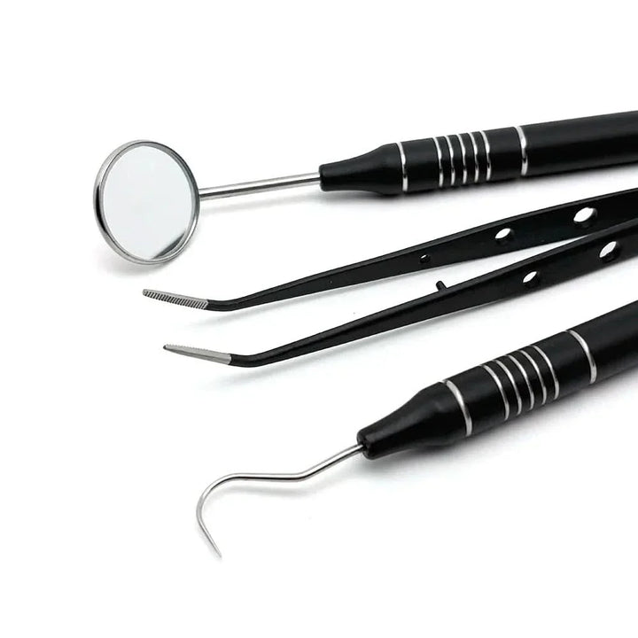Lisslune | Stainless Steel Teeth Cleaning Kit with Dental Tools