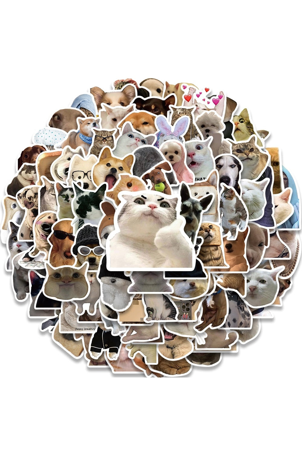 Lisslune | Cat Meme Funny Stickers 10/30/50/100 Pieces