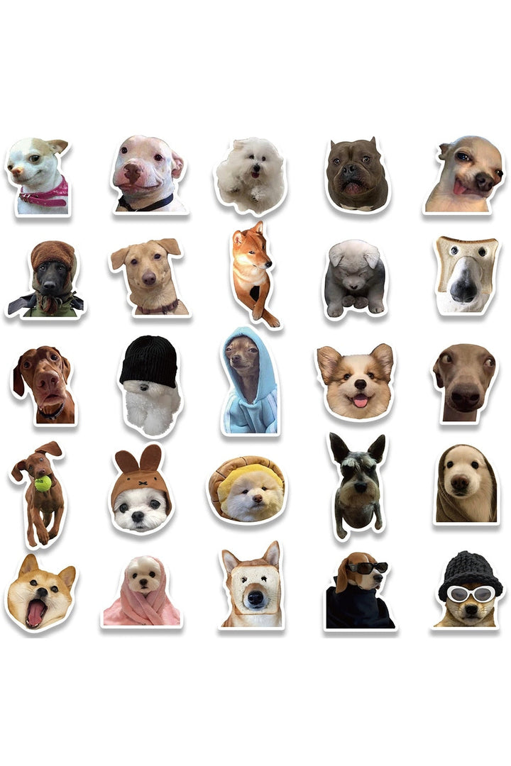 Lisslune | Cat Meme Funny Stickers 10/30/50/100 Pieces