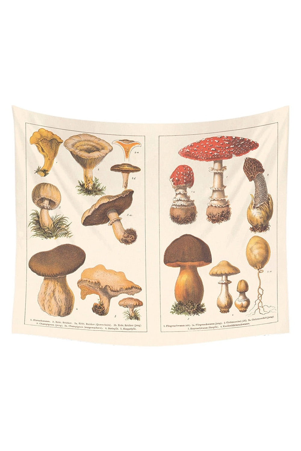 Lisslune | Mushroom Map Tapestry