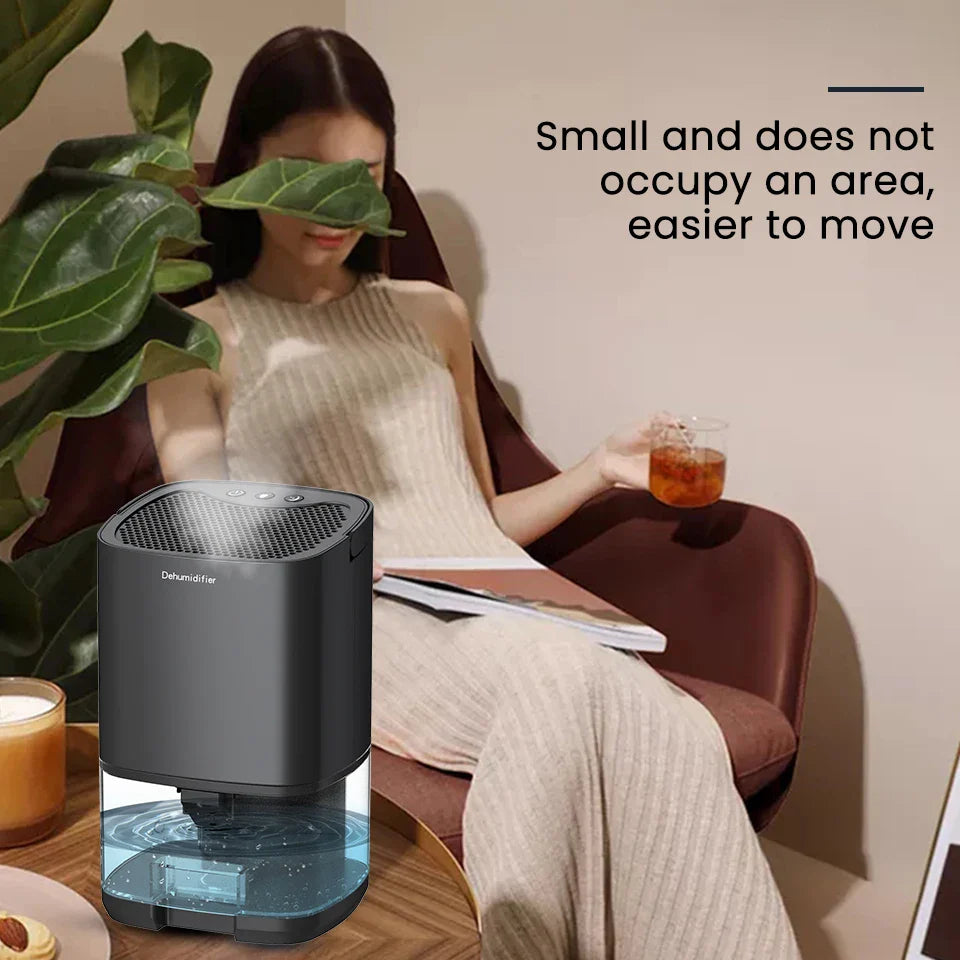 Lisslune | 1000ml Portable 2-in-1 Dehumidifier with Air Filter & Night Light – Aveline