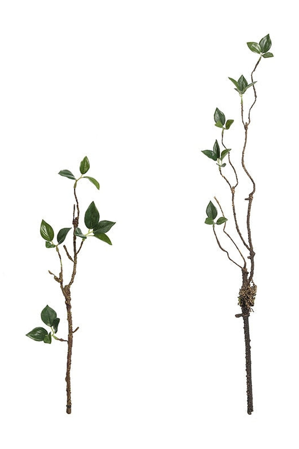 Lisslune | Tote Branch Elegance