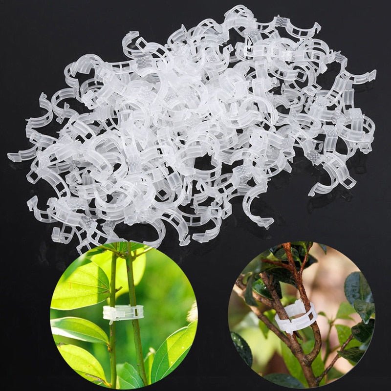 Lisslune | Reusable Plant Supports Tomato Clips