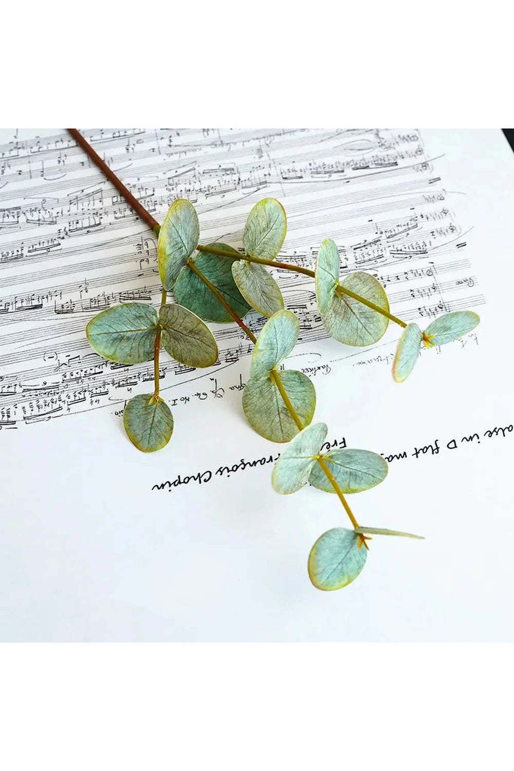 Lisslune | Green Artificial Plants