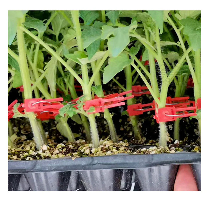 Lisslune | Plastic Refinement Clips for Garden Plants – Ideal for Vegetables and Plant Care