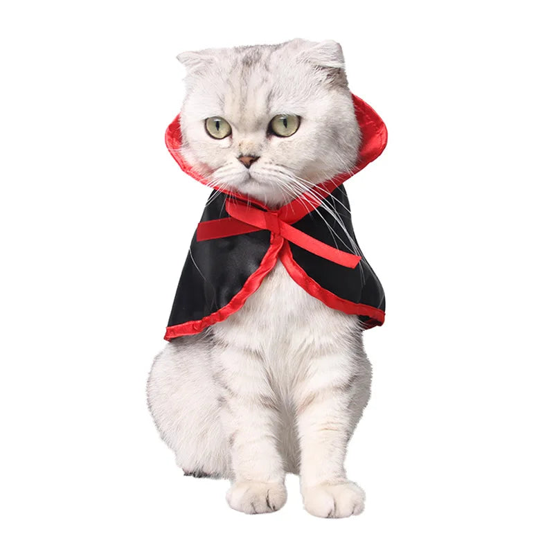 Lisslune | Cat Halloween costume