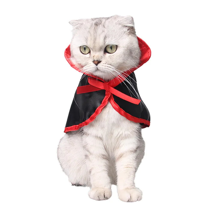 Lisslune | Cat Halloween costume