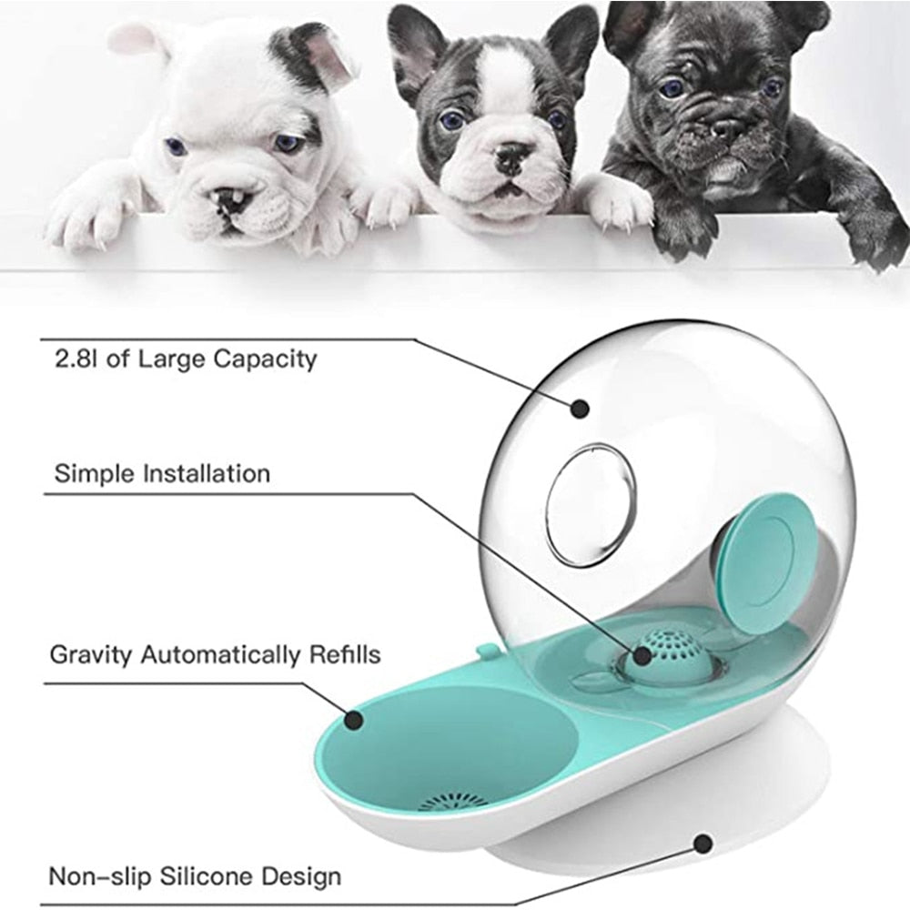 Lisslune | Automatic Aqua Oasis - Automatic Pet Water Bowl