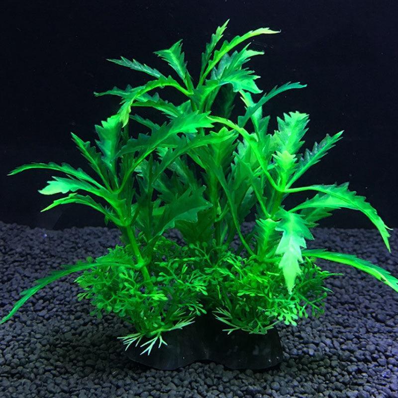 Lisslune | Aquatic Paradise: 12 Unique Plant Varieties for Lively Aquarium Landscapes