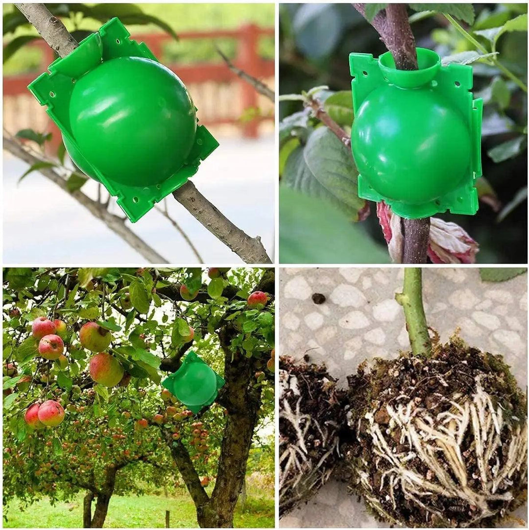 Lisslune | 10-Pack Reusable Plant Root Balls for Seamless Air Layering and Propagation