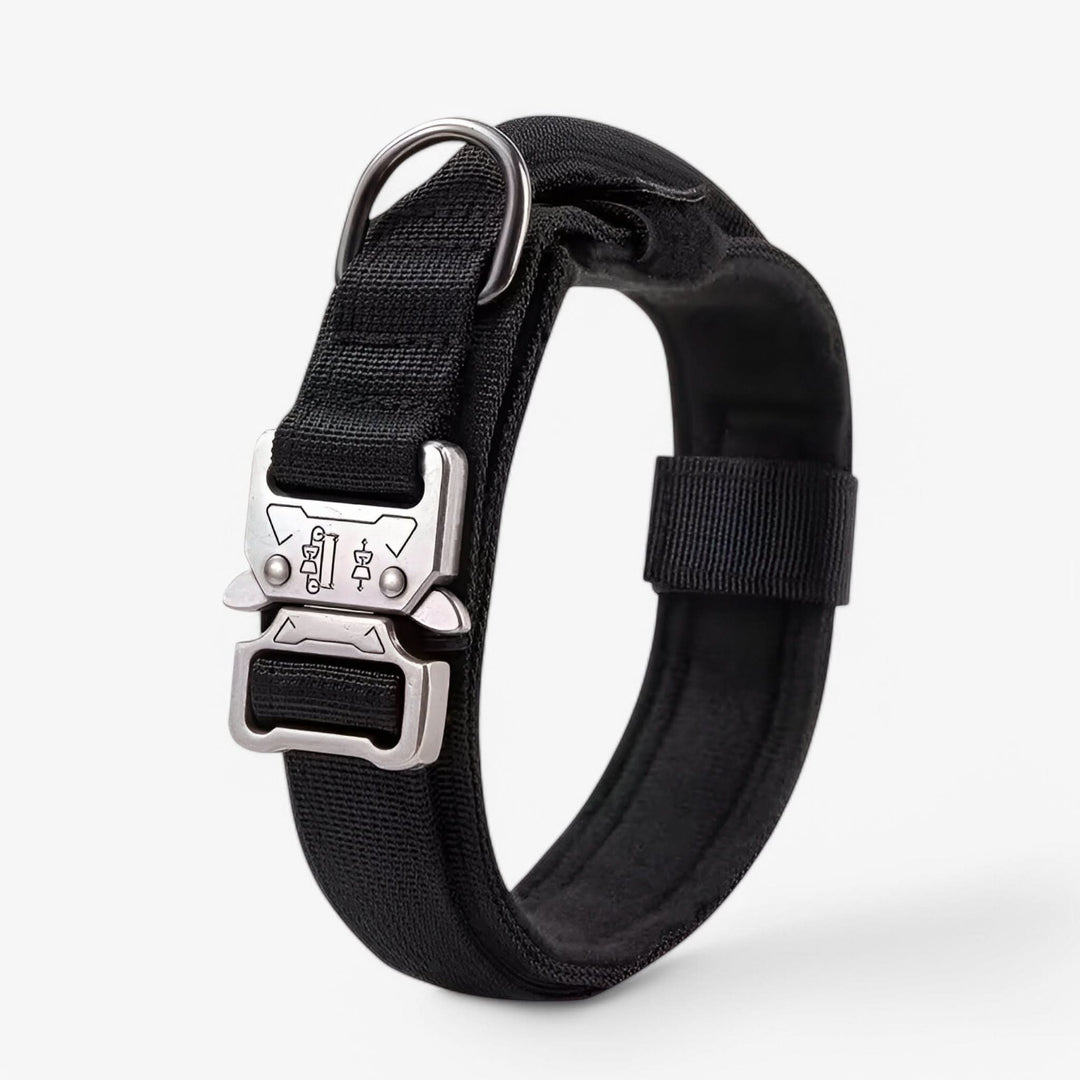 Lisslune | OutdoorHeld Dog Collar – For active dogs with endurance