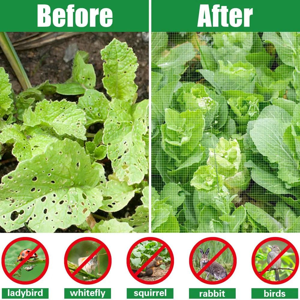 Lisslune | Garden Guardian: Premium Mesh Netting for Thriving Plants