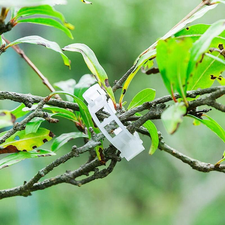 Lisslune | Green Garden Safe Plant Support Clips