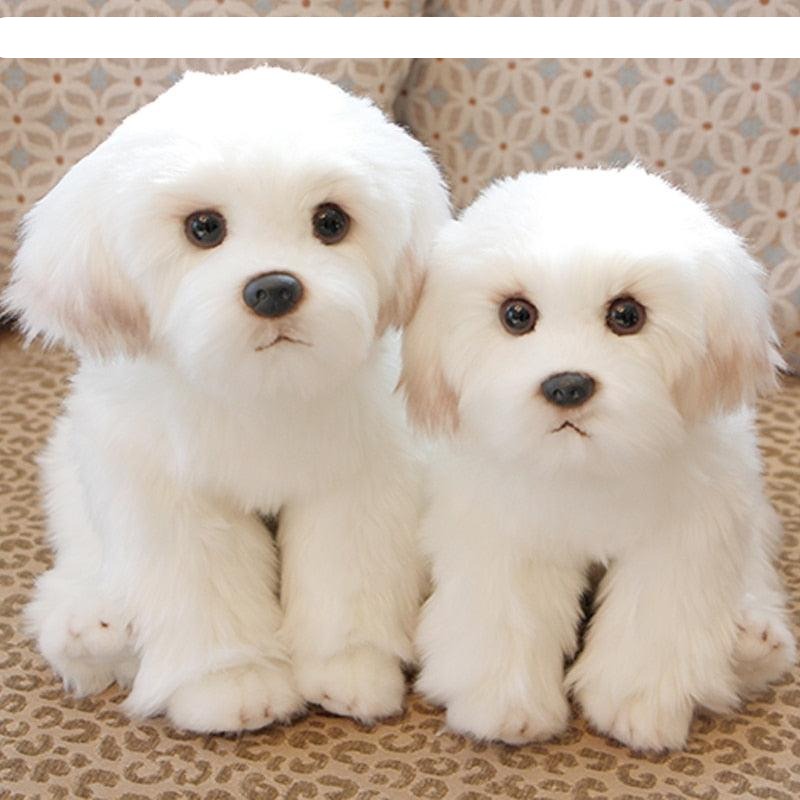 Lisslune | Opulent Maltese Puppy Plush: A demanding furry companion